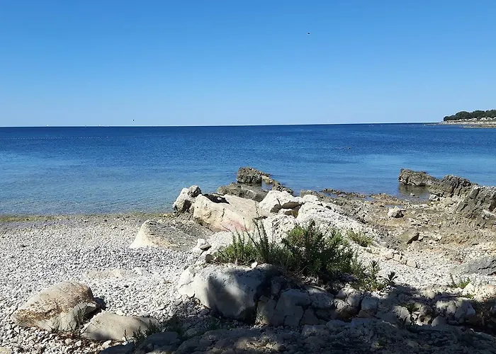 Appartamento One-bedroom 2 *